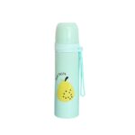 500 ml fruit design steel flask